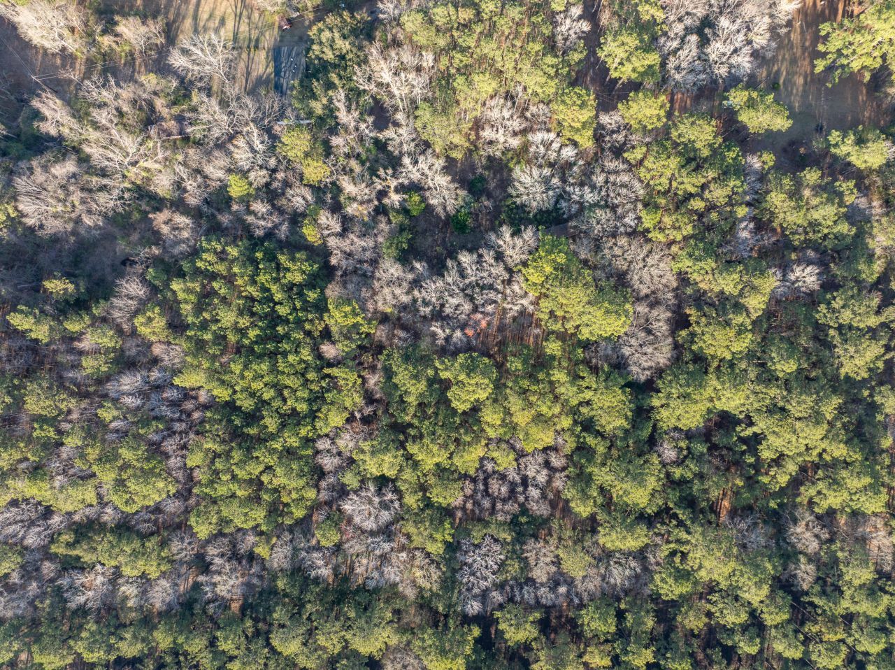 26 Swamprose Lane Photo 13