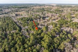 26 Swamprose Lane photo 4