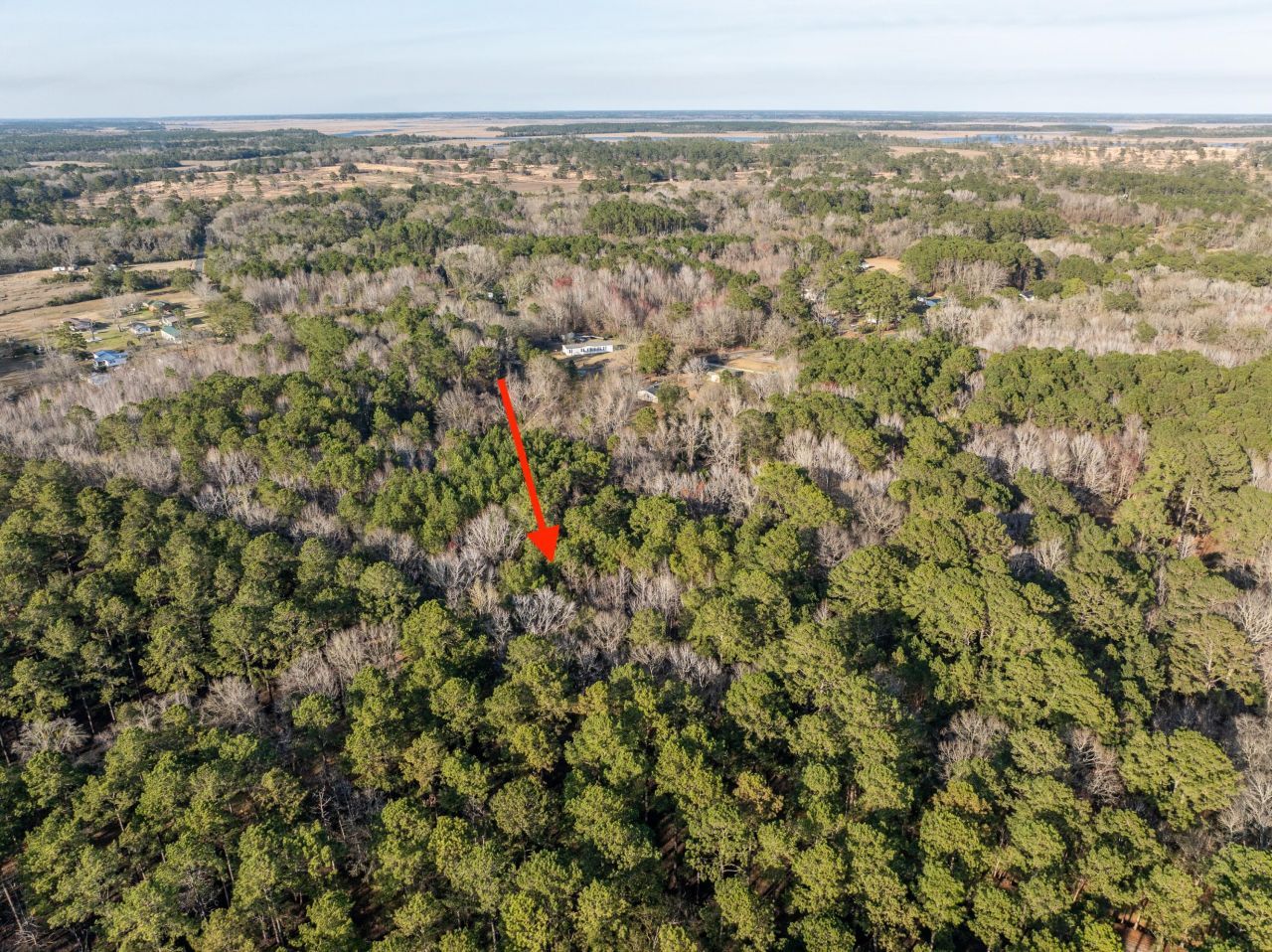 26 Swamprose Lane Photo 4