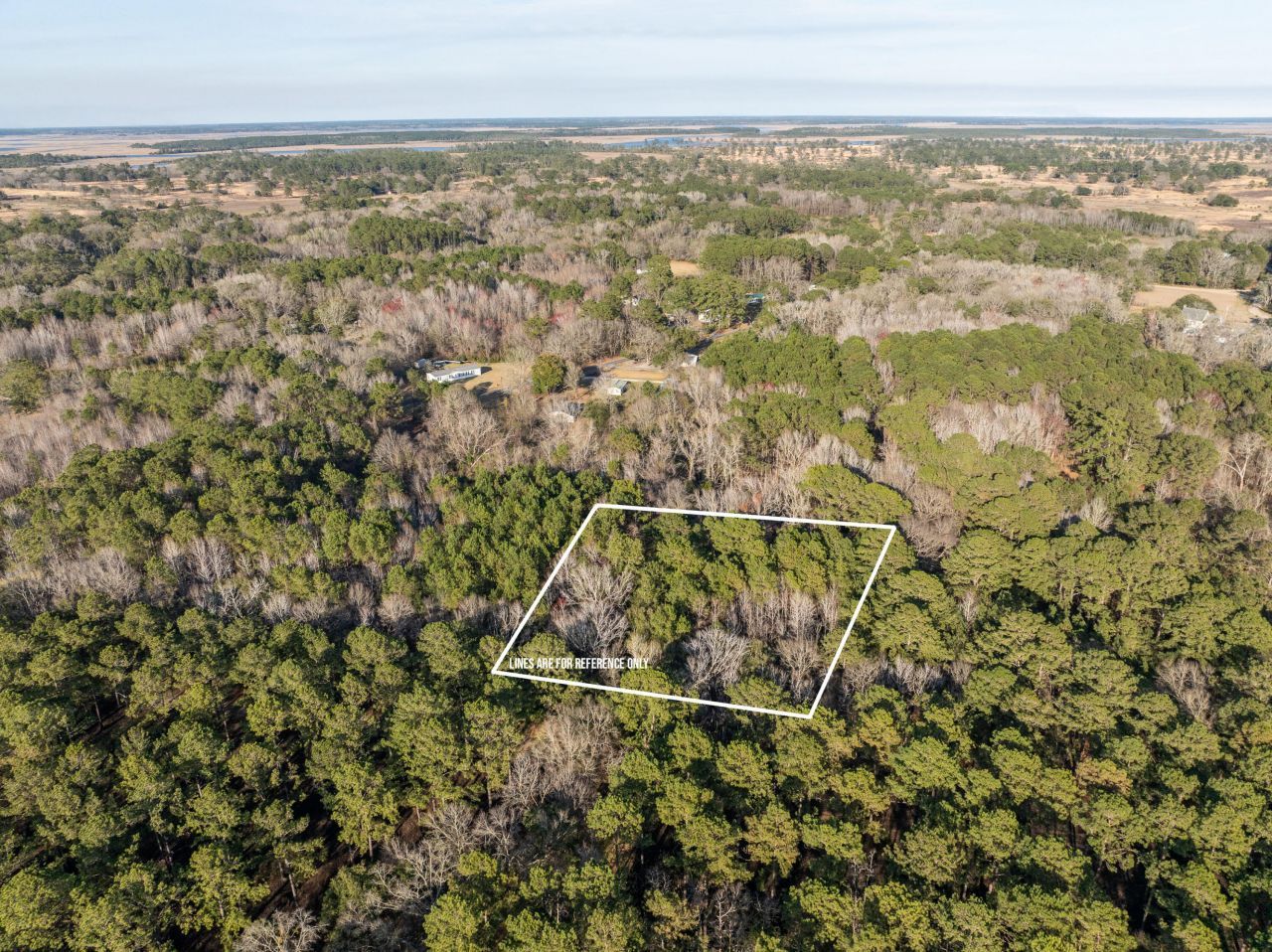 26 Swamprose Lane Photo 5