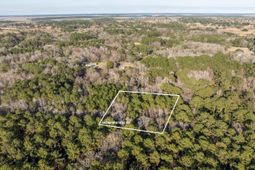 26 Swamprose Lane photo 4