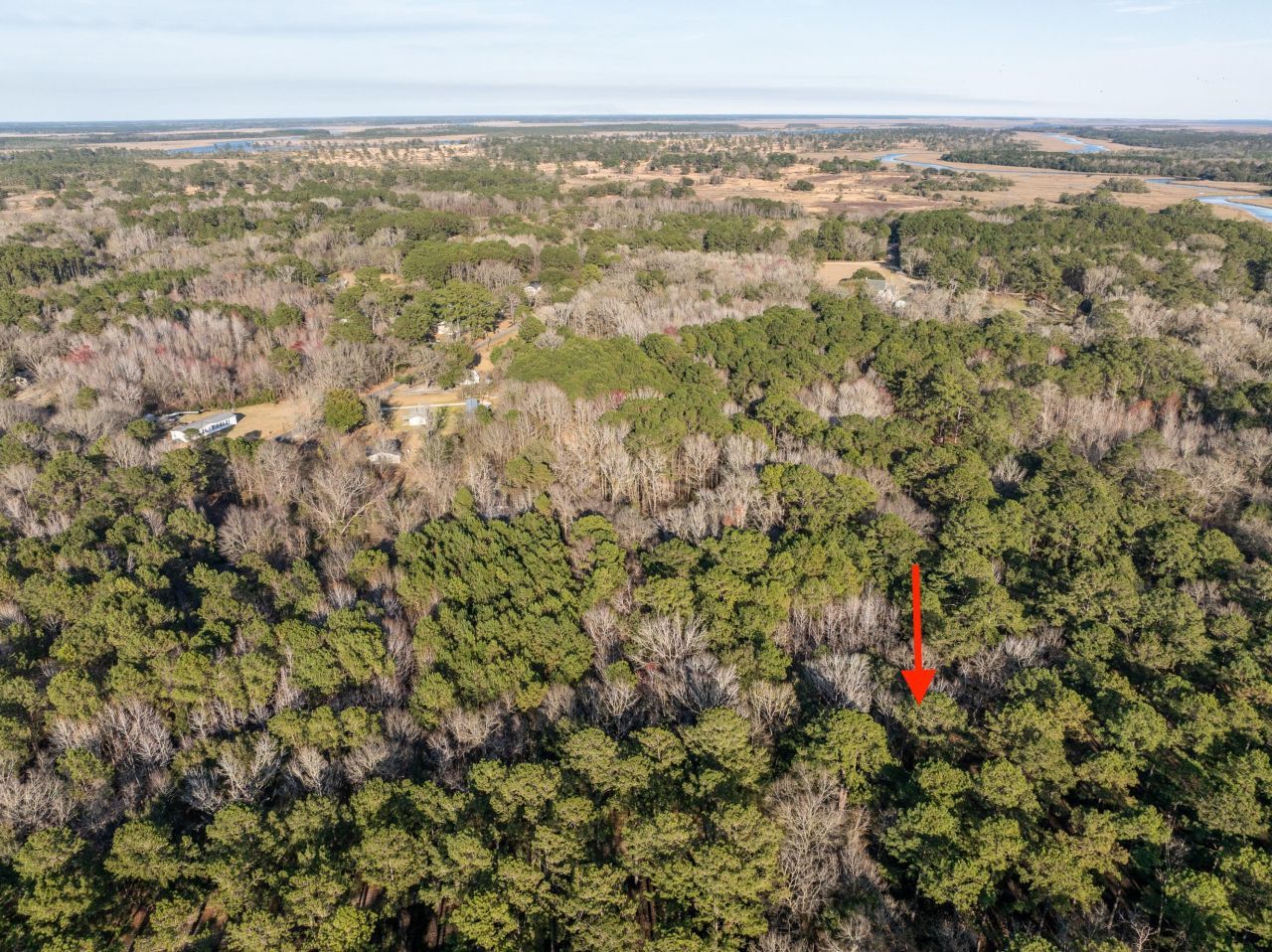 26 Swamprose Lane Photo 6