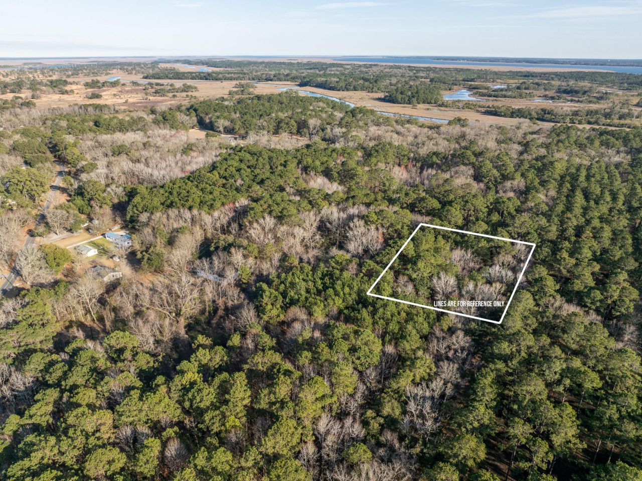 26 Swamprose Lane Photo 8