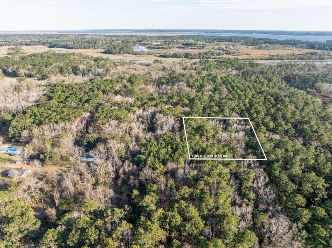 26 Swamprose Lane Photo 9