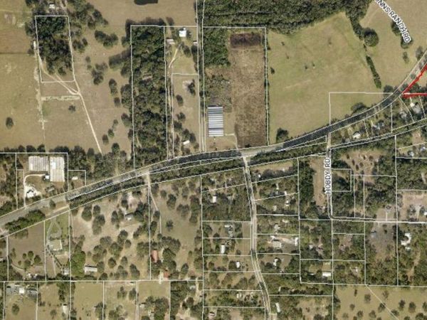 31415 ORANGE STREET, SORRENTO, FL 32776