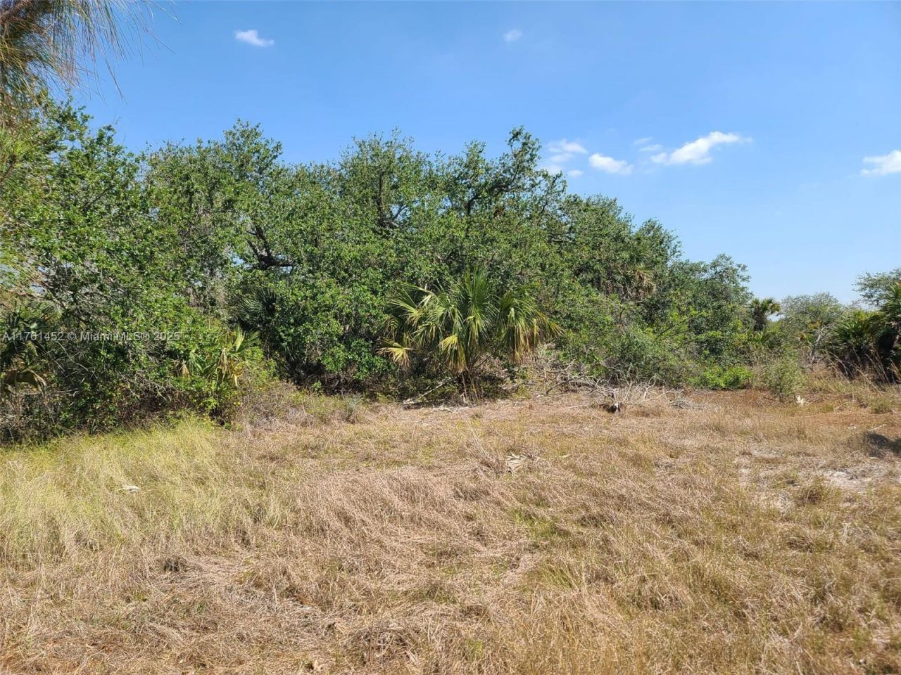 12133 Lenglen Ave, Port Charlotte, FL 33981 Photo