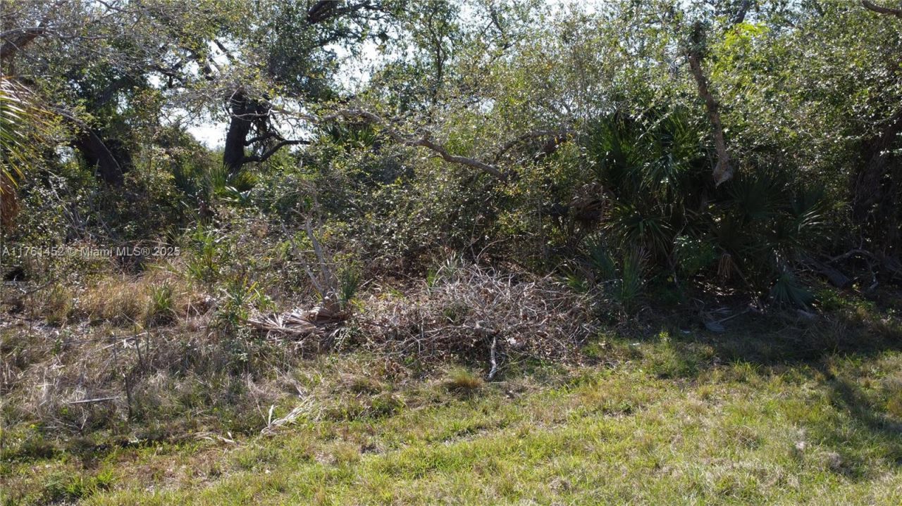 12133 Lenglen Ave, Port Charlotte, FL 33981 Photo