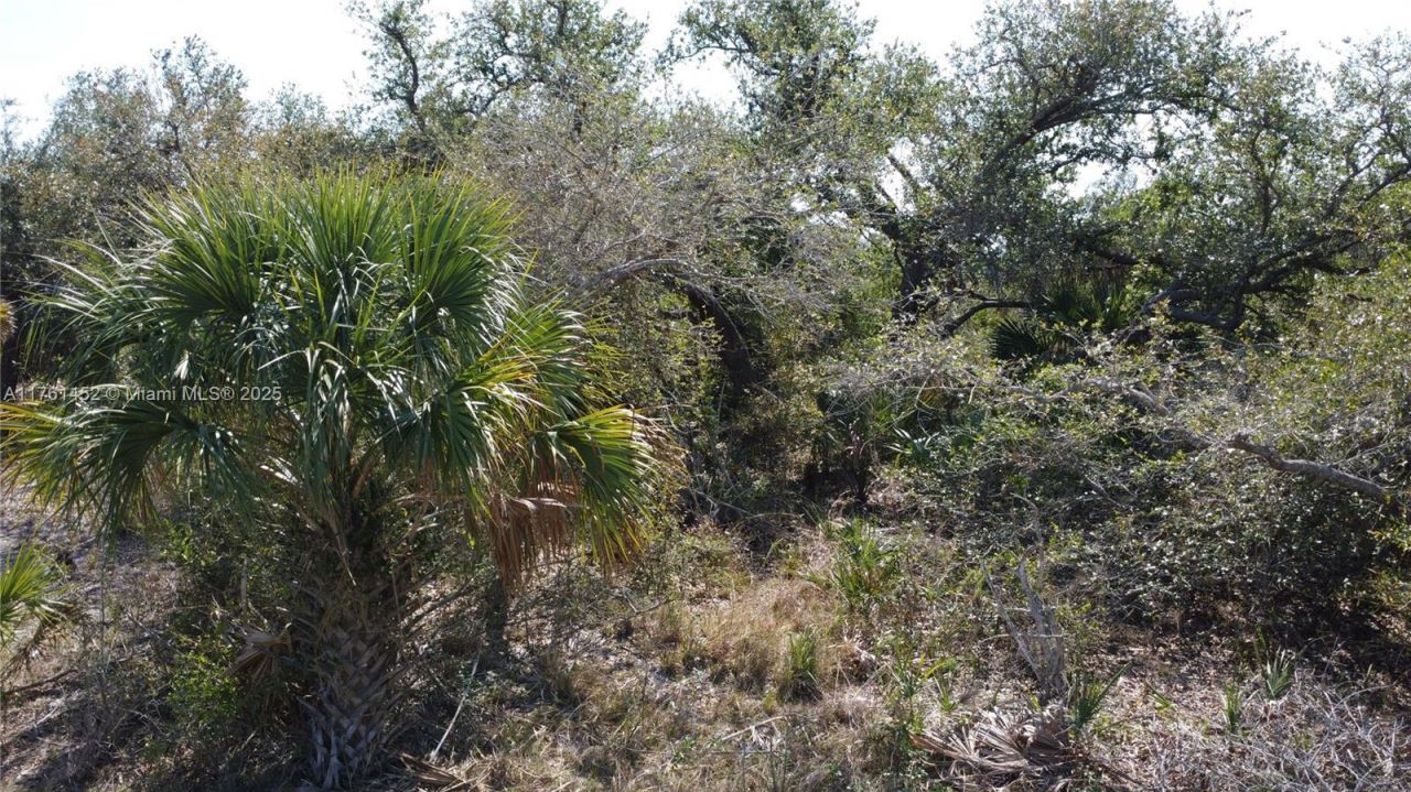 12133 Lenglen Ave, Port Charlotte, FL 33981 Photo