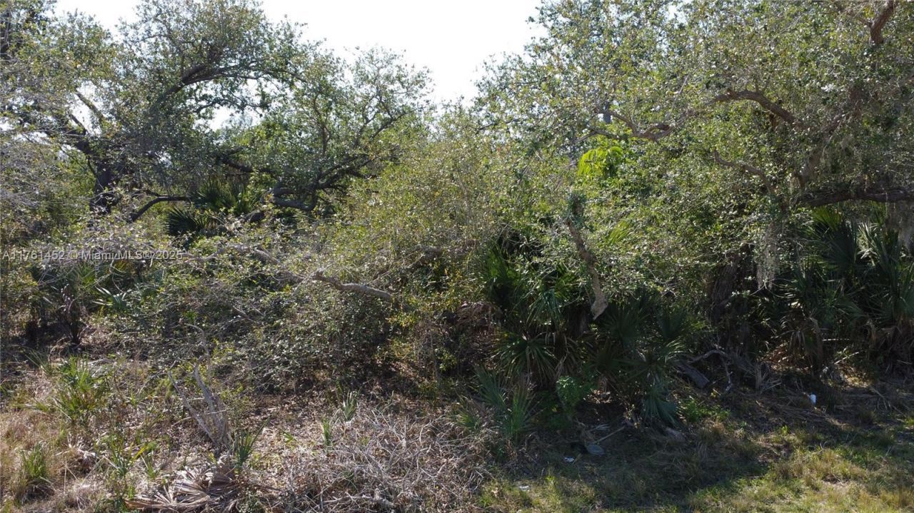 12133 Lenglen Ave, Port Charlotte, FL 33981 Photo