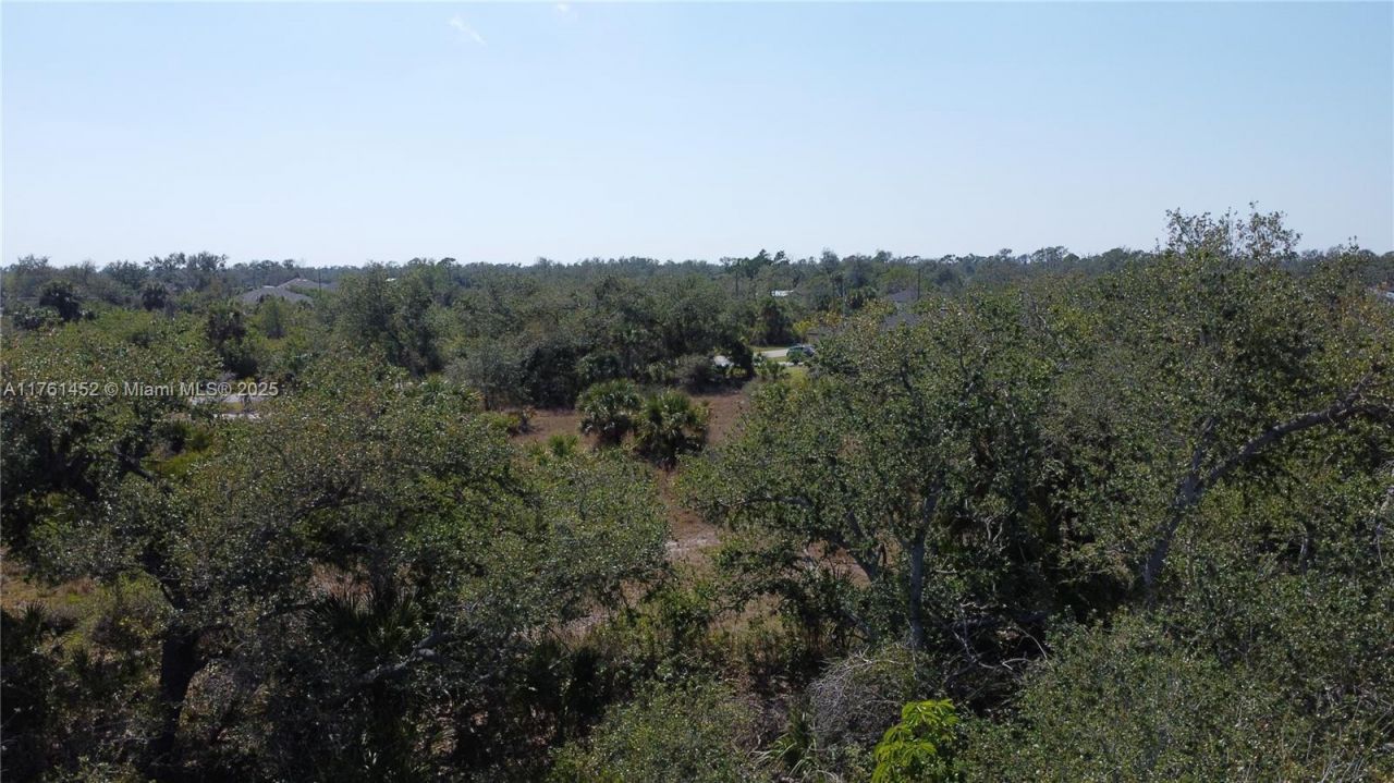 12133 Lenglen Ave, Port Charlotte, FL 33981 Photo