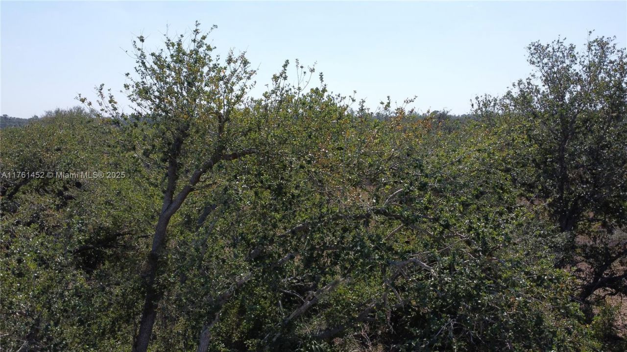 12133 Lenglen Ave, Port Charlotte, FL 33981 Photo