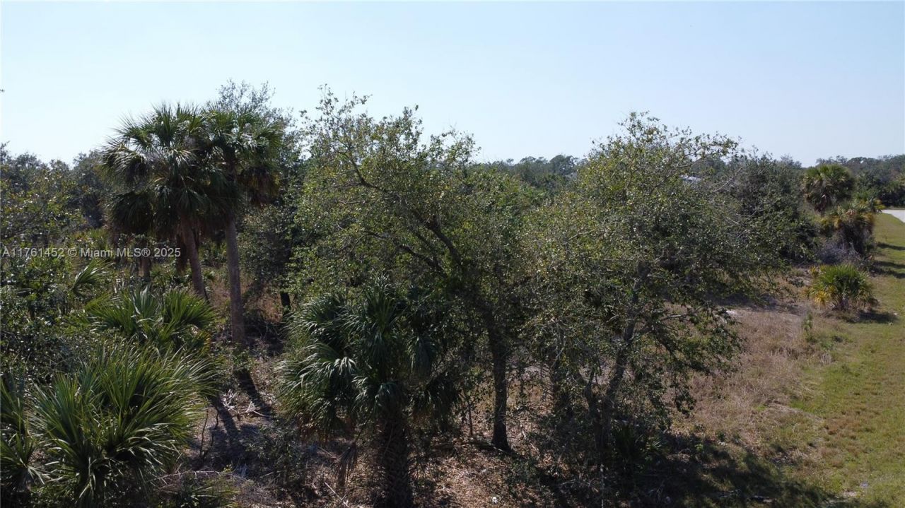 12133 Lenglen Ave, Port Charlotte, FL 33981 Photo