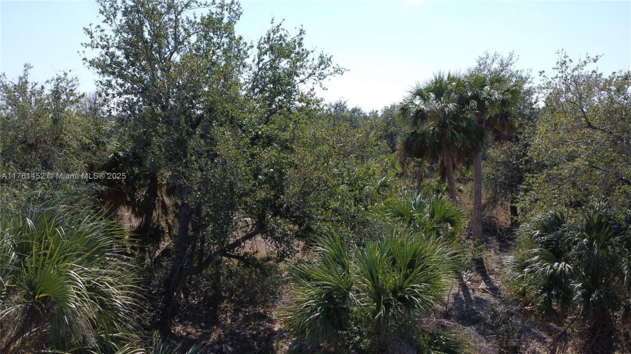 12133 Lenglen Ave, Port Charlotte, FL 33981 Photo