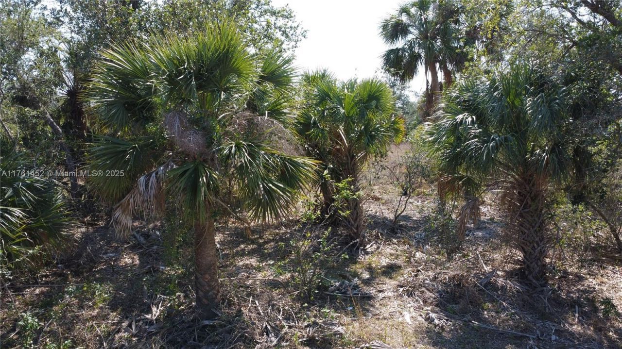 12133 Lenglen Ave, Port Charlotte, FL 33981 Photo