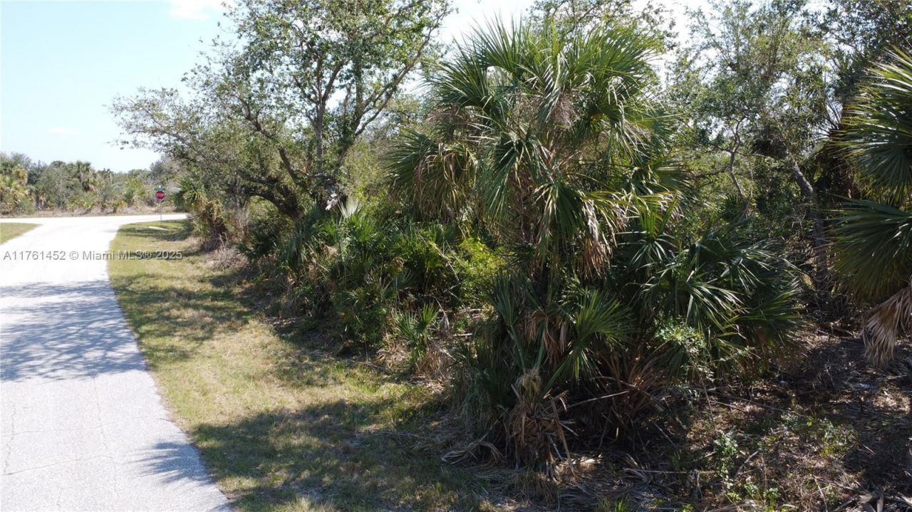 12133 Lenglen Ave, Port Charlotte, FL 33981 Photo