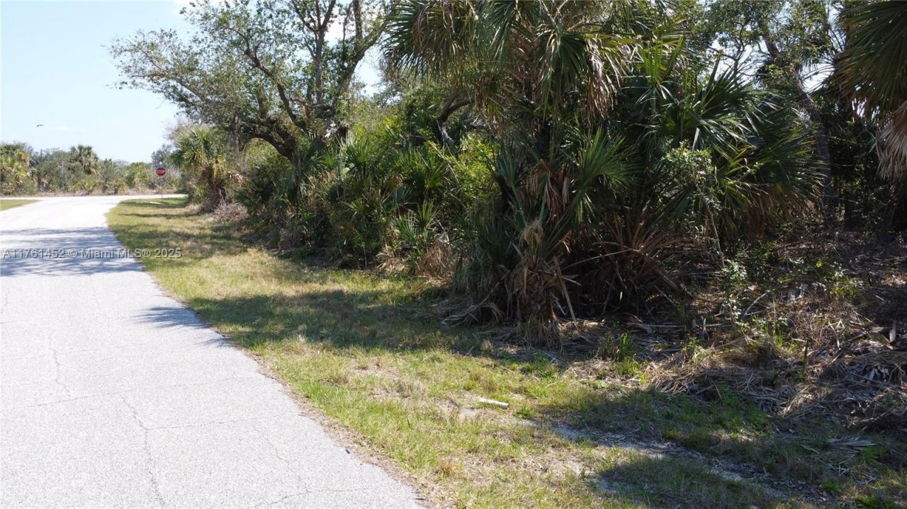 12133 Lenglen Ave, Port Charlotte, FL 33981 Photo