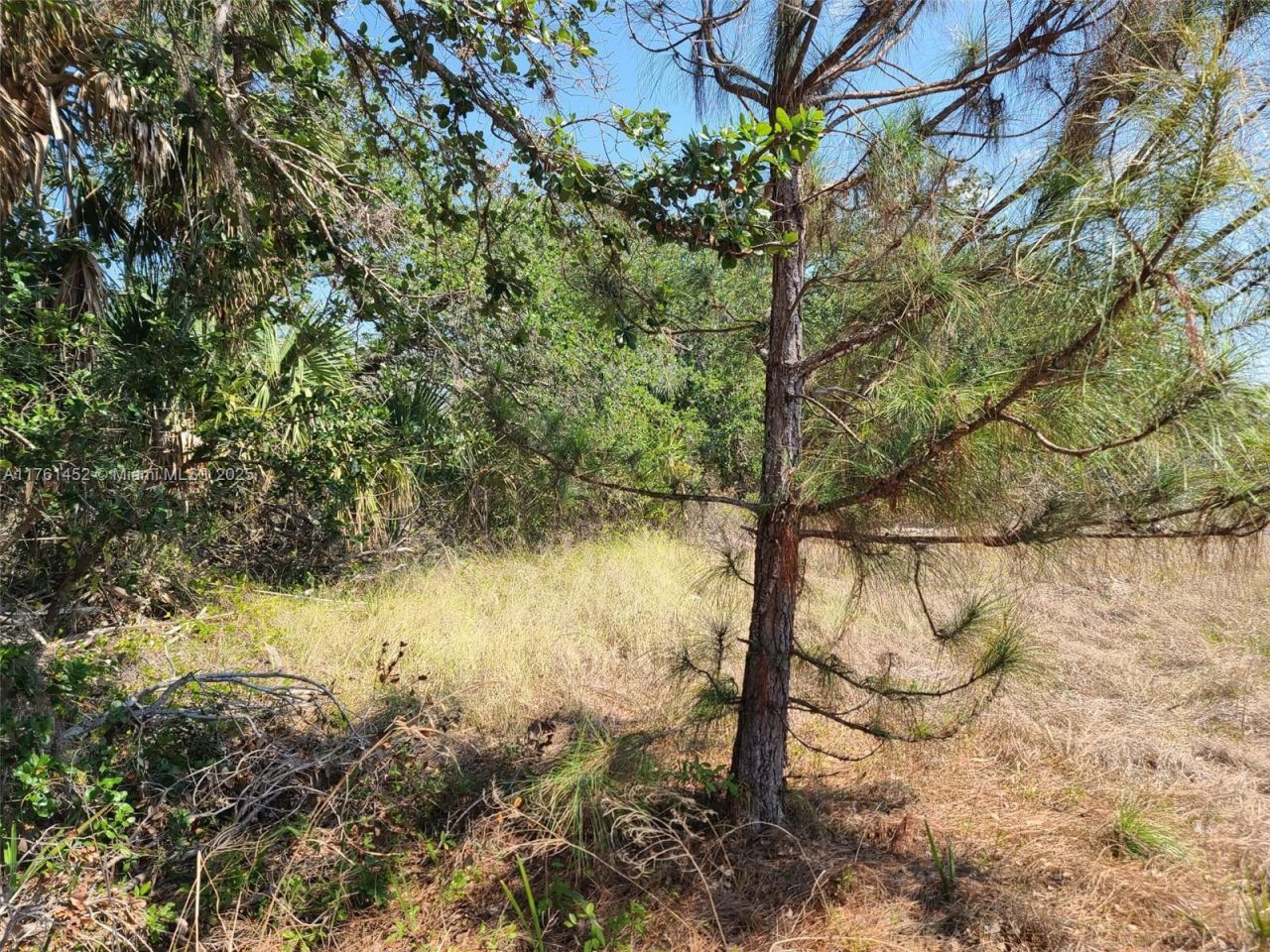 12133 Lenglen Ave, Port Charlotte, FL 33981 Photo