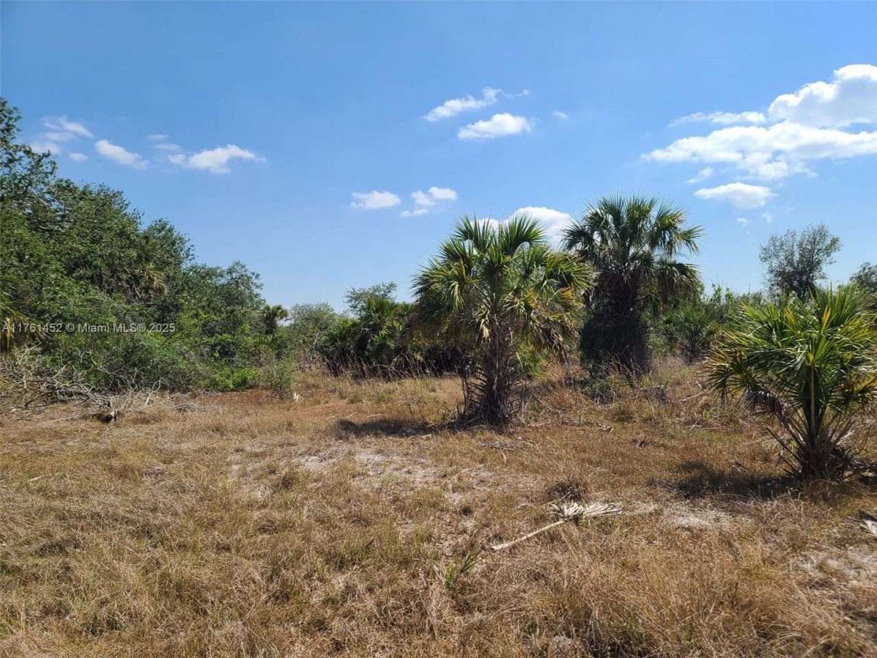 12133 Lenglen Ave, Port Charlotte, FL 33981 Photo