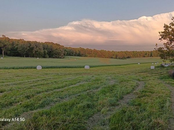 West Plains, MO 65775