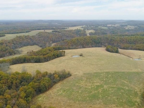 000 County Road 194, Dora, MO 65637