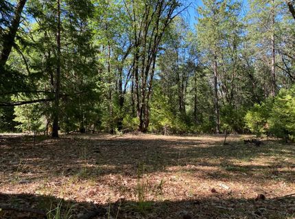 12595 Blackberry Trl, Grass Valley, CA 95945 Photo