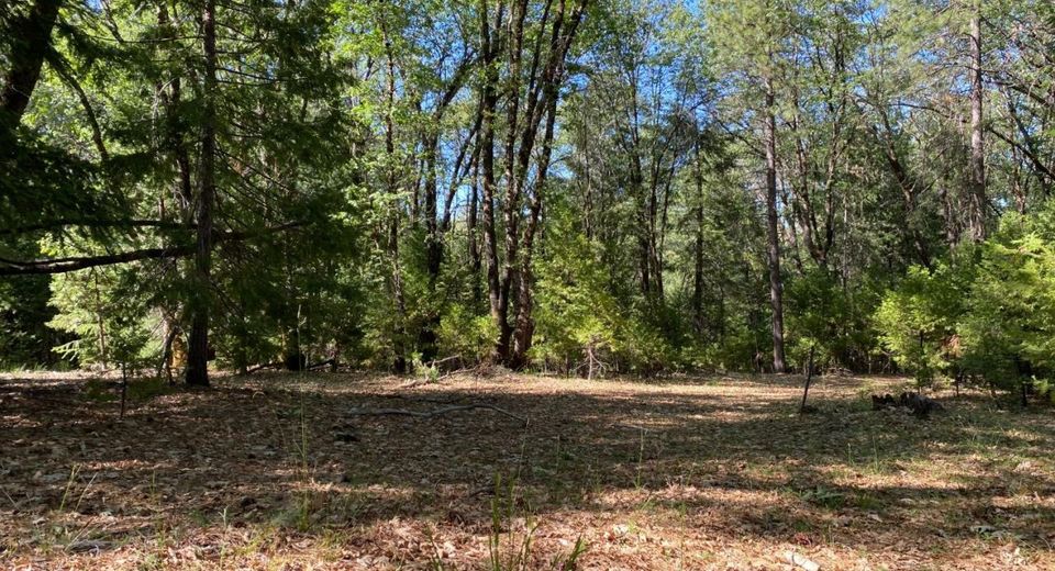 12595 Blackberry Trl, Grass Valley, CA 95945 Photo