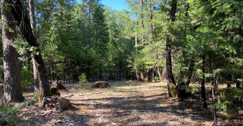 12595 Blackberry Trl, Grass Valley, CA 95945 Photo