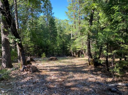 12595 Blackberry Trl, Grass Valley, CA 95945 Photo