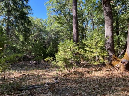 12595 Blackberry Trl, Grass Valley, CA 95945 Photo