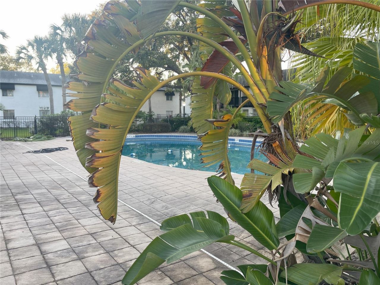 4419 S Semoran Boulevard, Unit 7, Orlando, FL 32822 Photo
