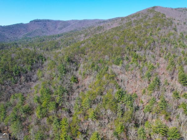 0 Peeples Lake Road, Chatsworth, GA 30705