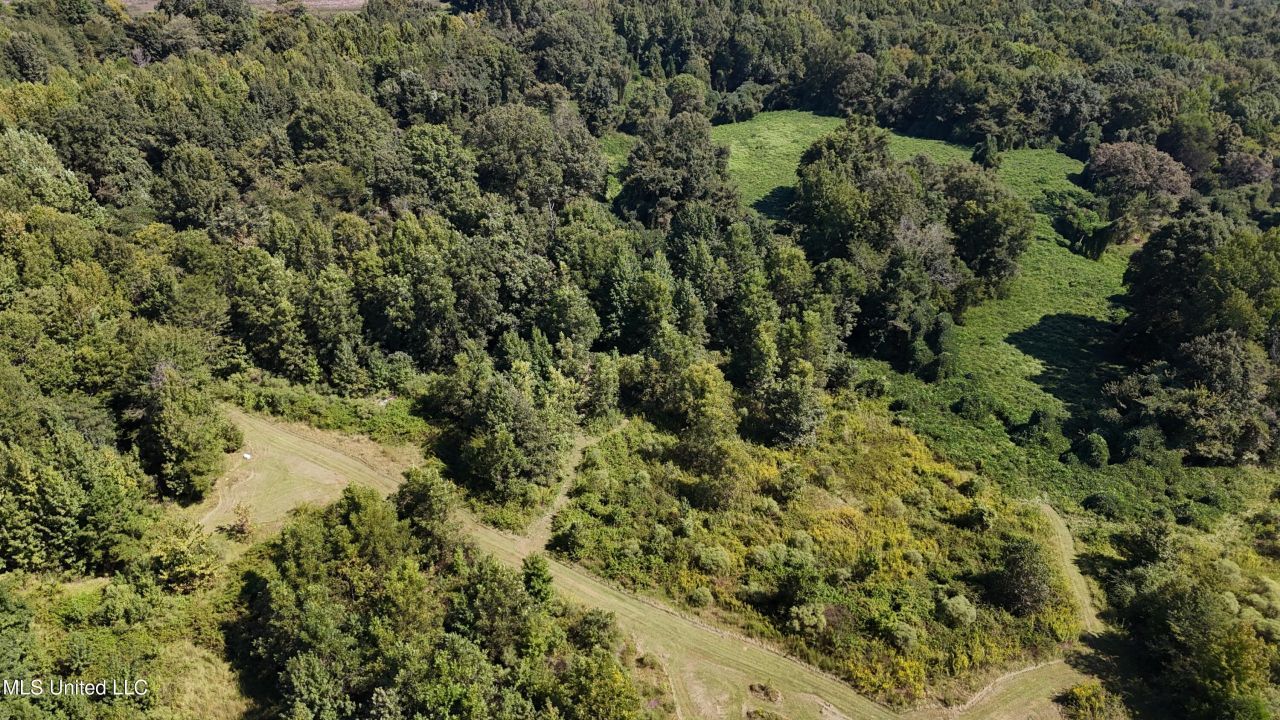 Ms Highway 12, Tchula, MS 39169 Main Photo