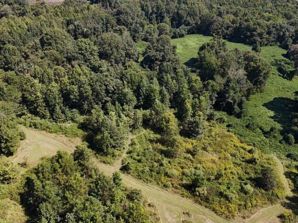 Ms Highway 12, Tchula, MS 39169