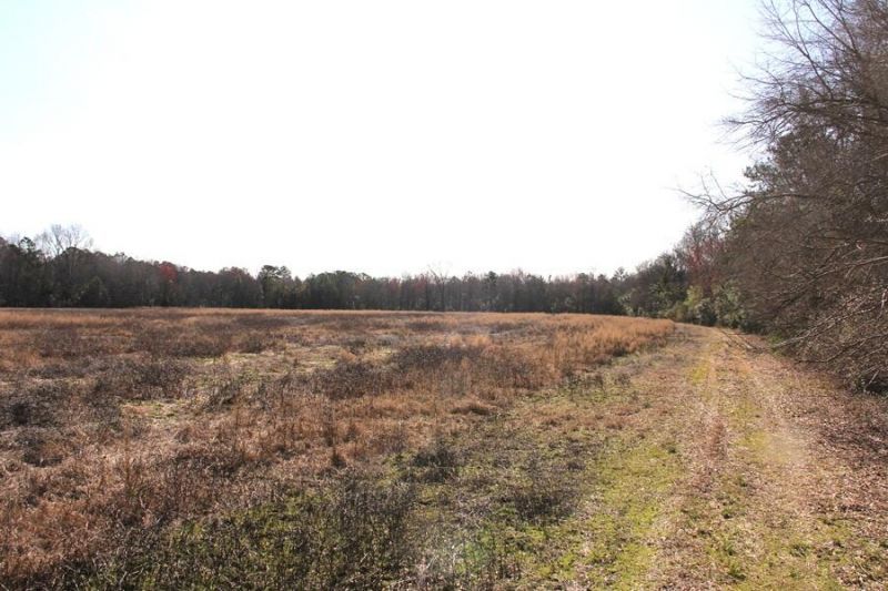 0 Corona Drive Photo 1