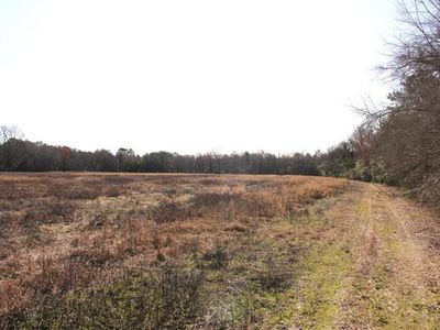 0 Corona Drive, Orangeburg, SC 29115