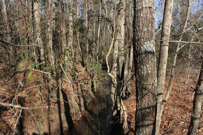 0 Corona Drive Photo 11