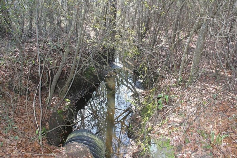 0 Corona Drive Photo 12