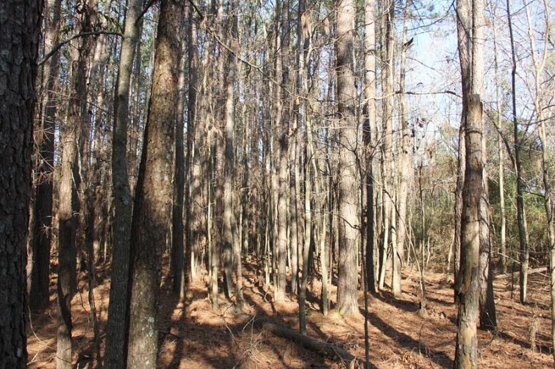 0 Corona Drive Photo 13