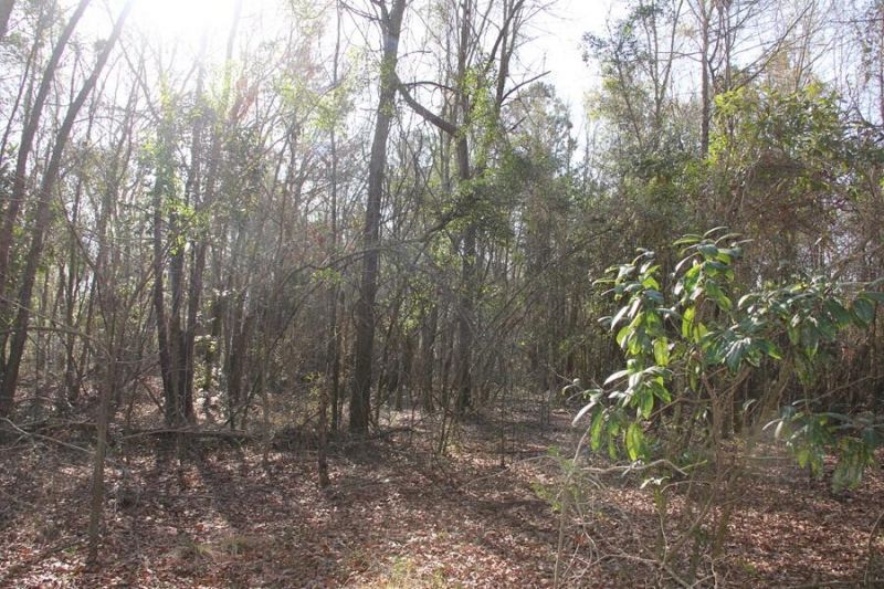 0 Corona Drive Photo 16