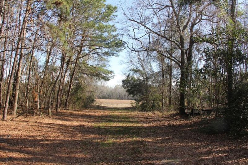 0 Corona Drive Photo 19