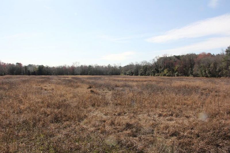 0 Corona Drive Photo 2