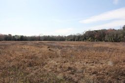 0 Corona Drive photo 4