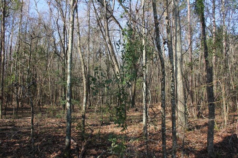 0 Corona Drive Photo 20