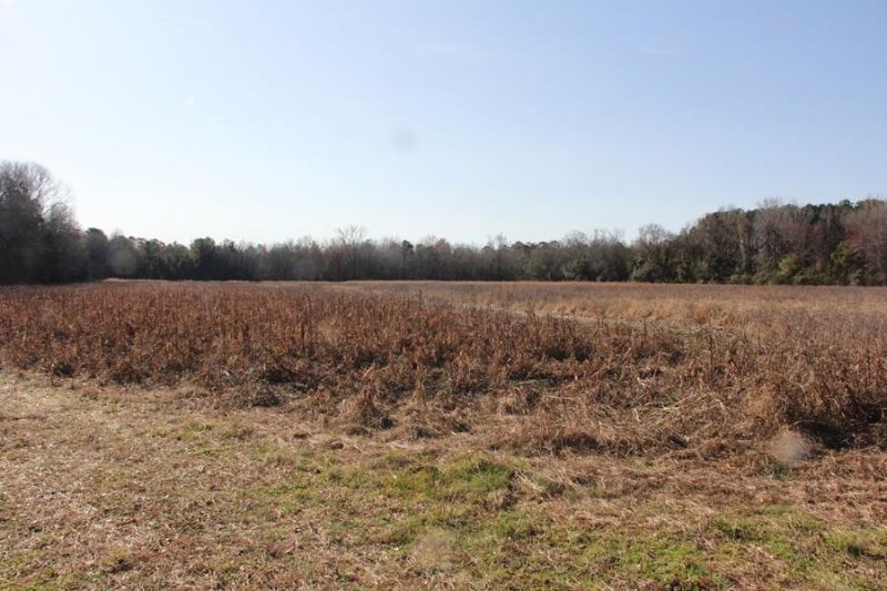 0 Corona Drive Photo 5