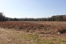 0 Corona Drive photo 4