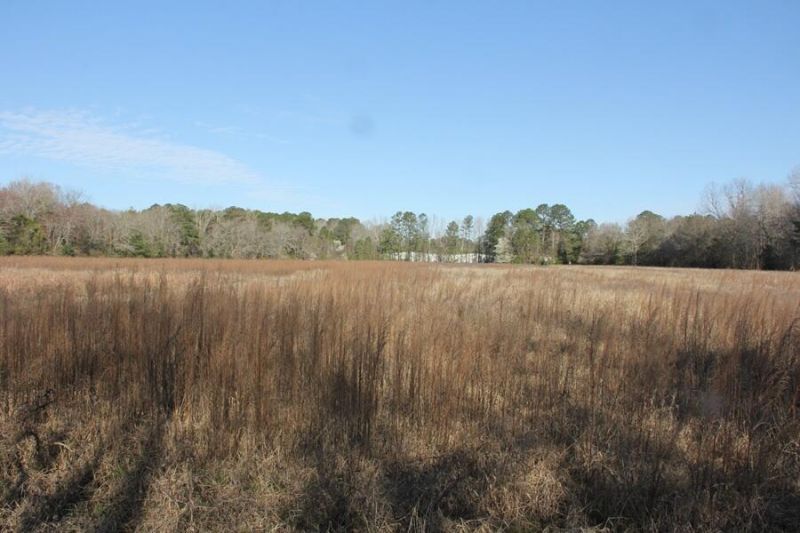 0 Corona Drive Photo 8