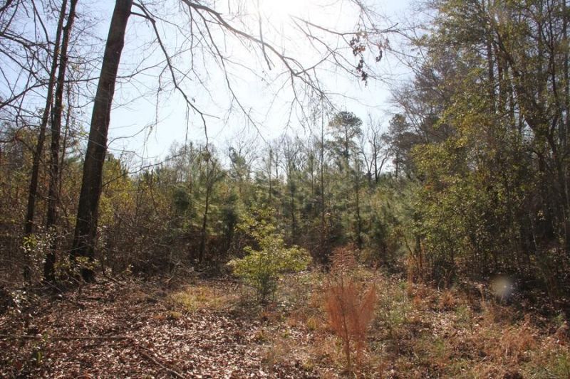 0 Corona Drive Photo 9