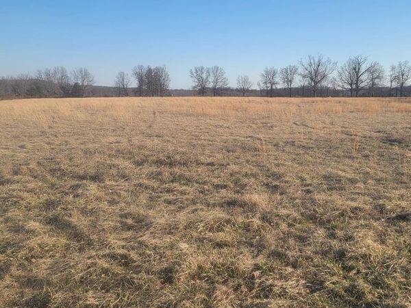 000 Mcintosh Road, Macomb, MO 65702