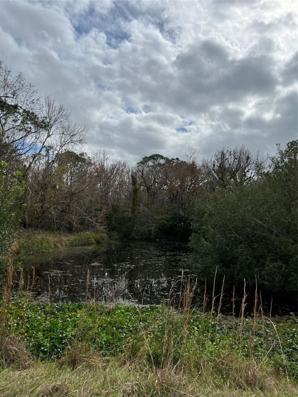 641 Sheppard Road, Venus, FL 33960 Photo