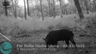 641 Sheppard Rd, Venus, FL 33960 Photo